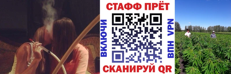 Виды наркоты Сегежа Амфетамин  ГАШ  Каннабис  КОКАИН 