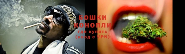 спайс Каменка