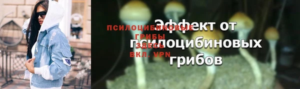 спайс Каменка