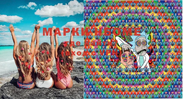 спайс Каменка