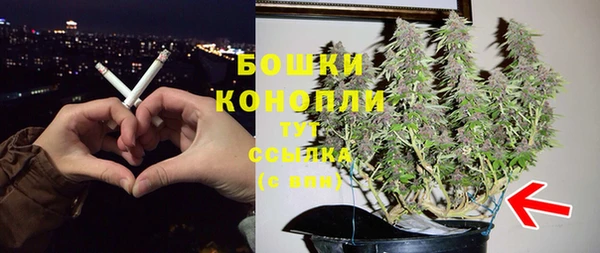 спайс Каменка