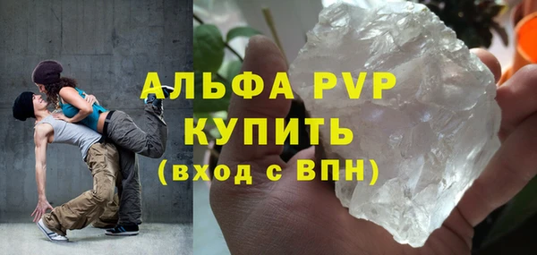 винт Инта