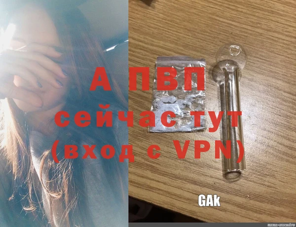МДПВ Инсар