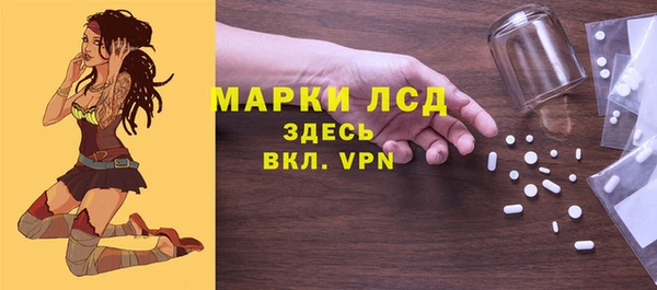 спайс Каменка