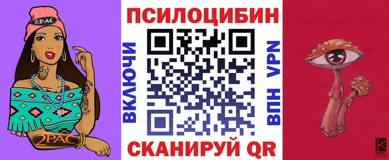 Галлюциногенные грибы Psilocybe Сегежа