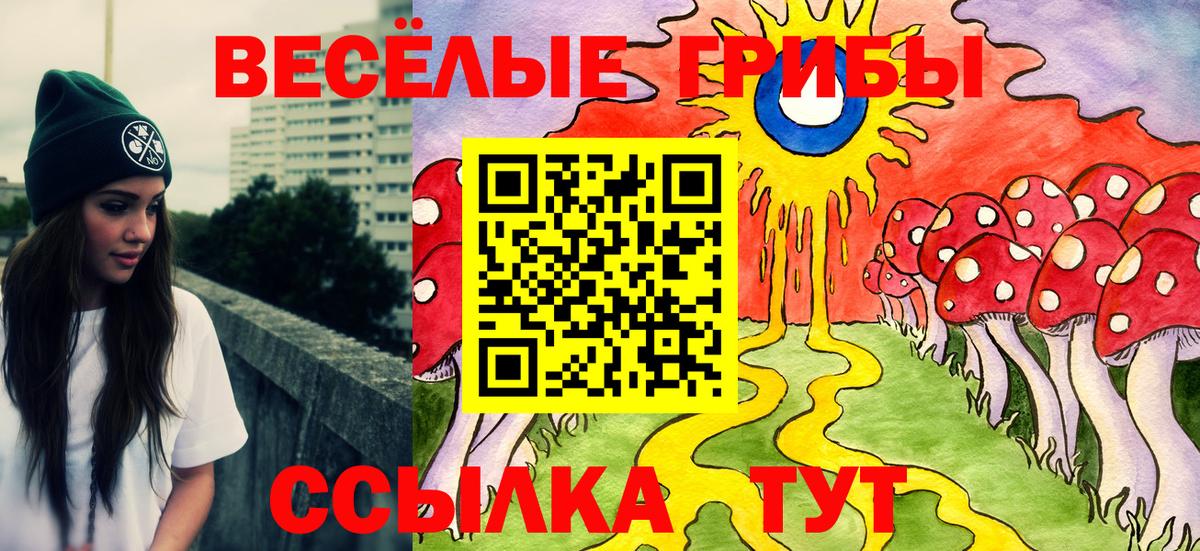 Сегежа  Псилоцибиновые грибы Cubensis  купить закладку  Вход с VPN 