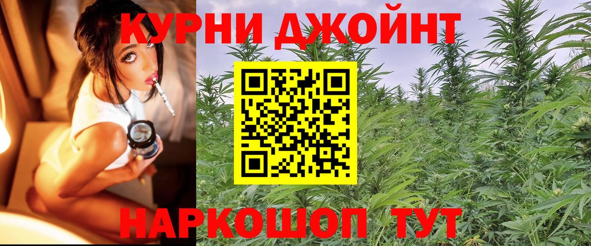 Канабис SATIVA & INDICA Сегежа